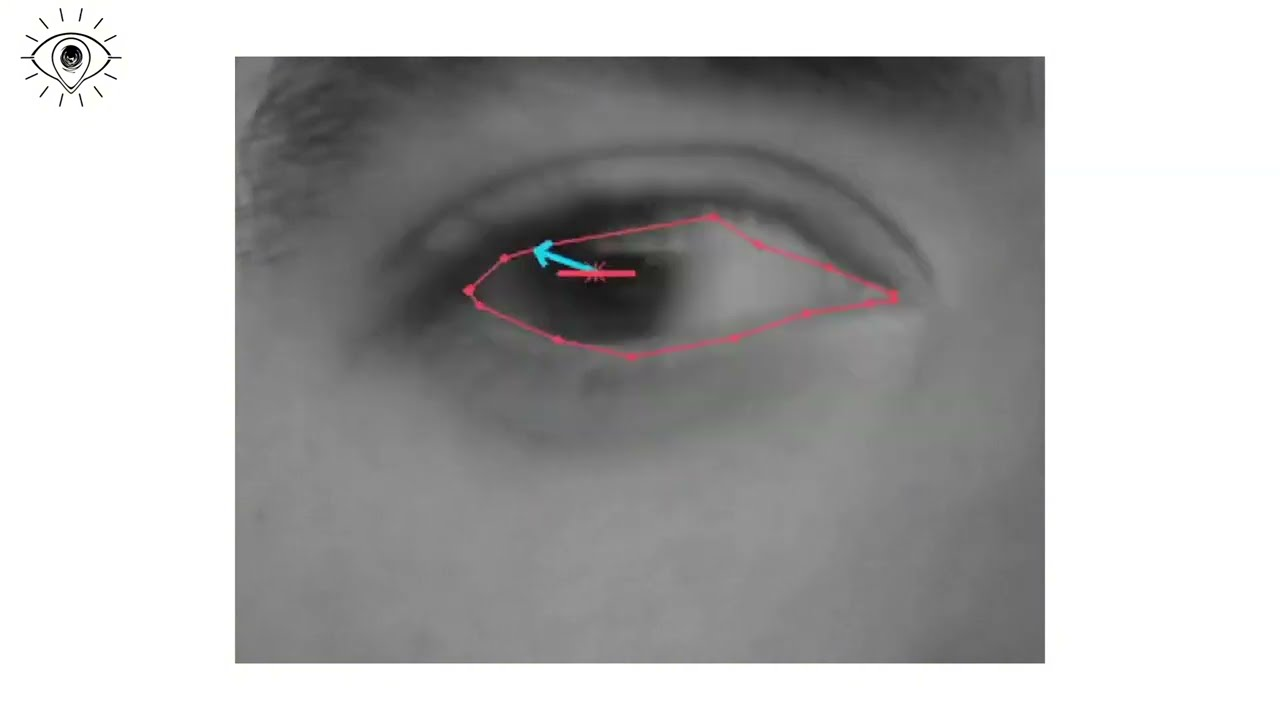 EyeTrackDemo1.png